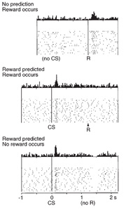 Dopamine signal related to reward and reward prediction (Schultz, 1999)
