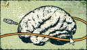 A wired brain
