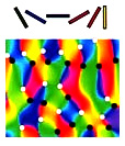 Orientation selective cortical columns