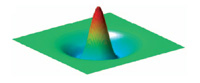 Center-surround organization used in SOMs